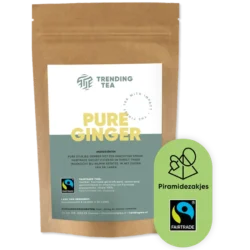 TrendingTea Pure Ginger piramidezakjes 100st